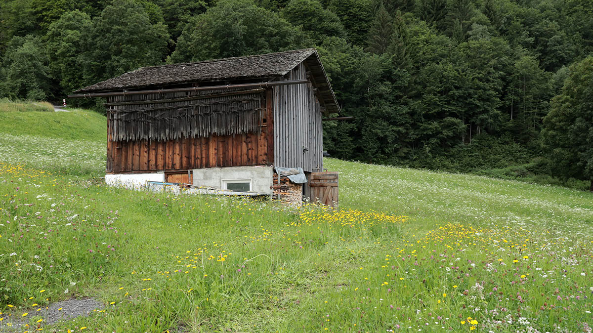 Boerenhut in Latschau Montafon